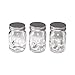 Tim Holtz Idea-ology Mini Mason Jars by, 4 x 2.25 Inches, Pack of 3, TH93202