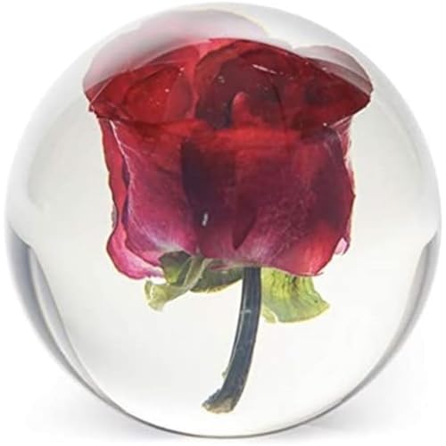 Dynasty Gallery FloraCulture Paperweight RED Rose