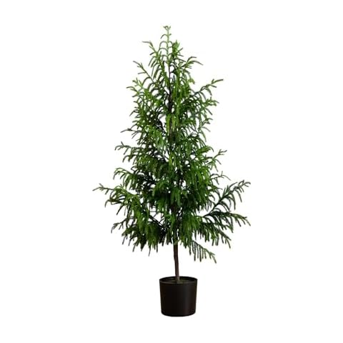 Nearly Natural 5ft Norfolk Pine Tree Cover