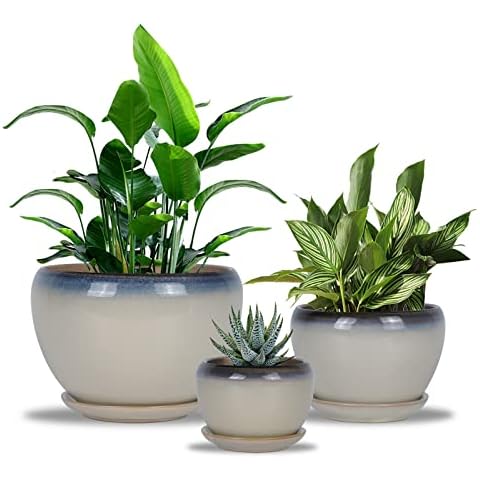 Ceramicfor Flower Pot with Drainage, Set of 3 Pack Plant Pot with Connected Saucer Ceramic Planter for Home Garden Indoor 3 Inch 4 Inch 5 Inch Brown Cover