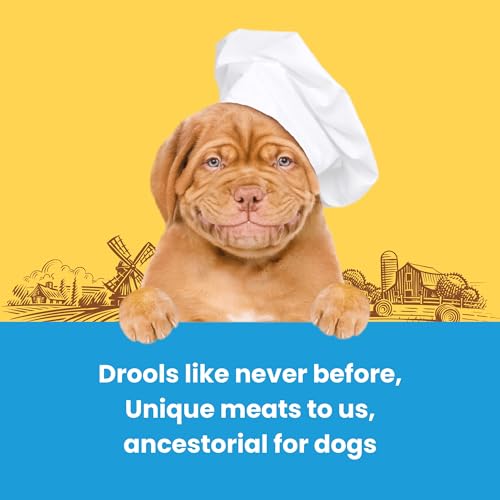 Image of Barkbutler x Dogfest Dog Training Treats, Quail & Chia Seeds, Superfood Dog Treats for Adult Dog, Bite-Sized Treats for Puppies, Dog Treat, Aids Digestion & Boosts Immunity