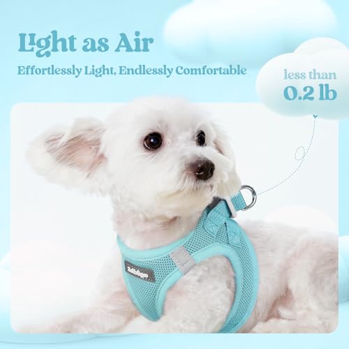 Image of rabbitgoo Dog Harness Medium Sized and Leash Set, Step-in Puppy Pet Vest