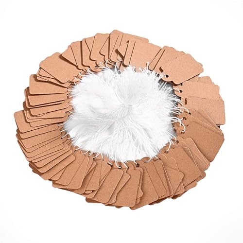 lD 100 J[h ׎D ^O tD  َq Mtgx p[eB[p i^O  tߗ  ANZT[ WG[ rv p WG[x (F)