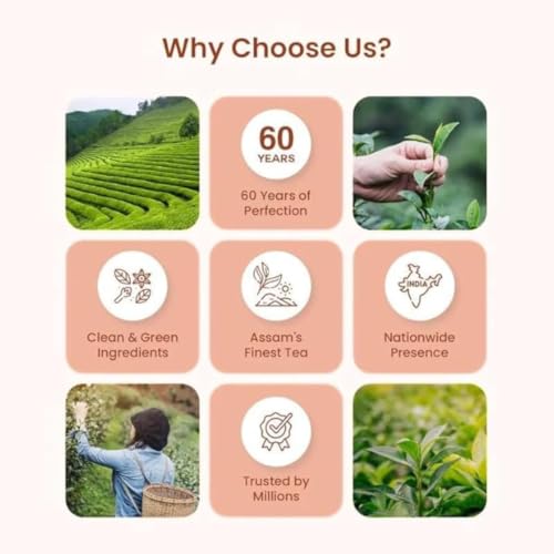 Image of APSARA Instant Tea Premix Unsweetened Masala Tea 36 Sachets|Ready To Drink Tea With No Added Sugar|Enriched with Ginger, Cardamom, Pepper and Indain Spices, Sugar Free Masala Chai, 432 gram