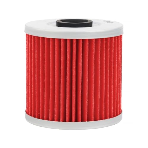 Filtre à huile moto KEF300 BJ250 KL250 pièces de rechange moteur