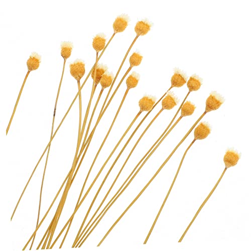Palitos Difusores con Diseño Floral para Aromaterapia 20 Unidades miniatura 6