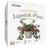 Miracle LED Elegant Lipstick Plant Grow Light Kit 2-Socket Full Spectrum (2- Pack)