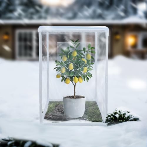 PVC Clear Plant Covers Freeze Protection: 30”L x 30”W x