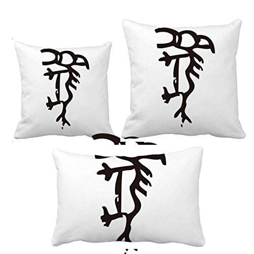 Housse de coussin zodiaque chinois en os DIYthinker décoration de canapé - 2