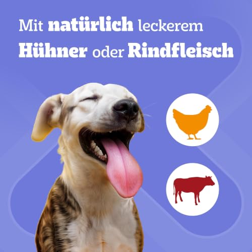 Pedigree DentaStix Hundesnack für große Hunde (25kg+), Zahnpflege-Snack mit Huhn und Rind, 1 Packung je 56 Stück (1 x 2.16 kg)