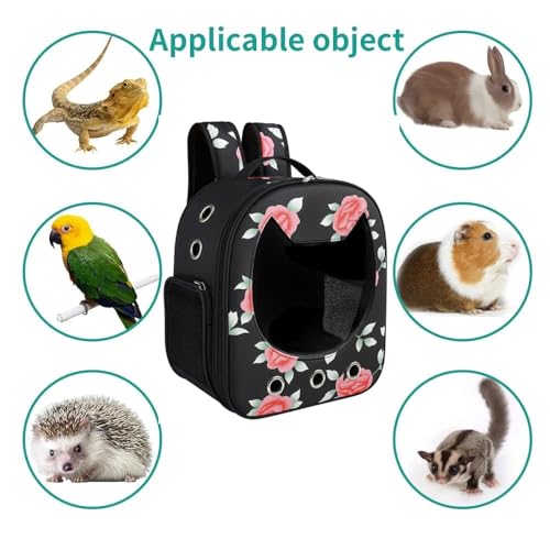 Image of Risan Pets Pet Backpack Transparent Cat & Small Dog Puppy Kitty Shihtzu Carriers for Breathable Airline Travel Approved Air Ventilation Backpack Size 16 x 13 x 9 inch (Mighty Black)