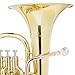 Mendini by Cecilio Euphonium, Lacquer Brass B Flat Euphonium with Tuner, 3 Stainless Steel Pistons, Mouthpiece, Hard Case, Polishing Cloth and Gloves (Gold)