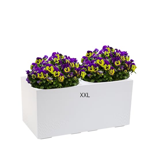 Blumenkübel Blumentopf Quadratisch mit Rollen sehr Dekorativ (Weiß, XXL)