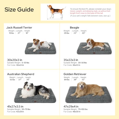 Fluffy Balanced Support Dog Bed DROPS TO TO (MORE OPTIONS AVAILABLE) - image 5