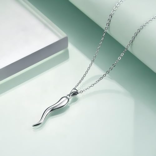 Rnivida 925 Sterling Silver Italian Horn Necklace, Silver Cornicello Amulet Pendant Necklace Talisman Jewelry for Women3