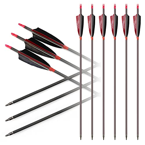 Hosolee 12 Pack Carbon Arrows 500 Spine Archery Targeting Arrow with Real Feathers and Field Points for Compound Recurve Bows (31 Inch)