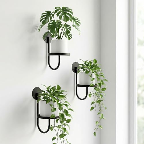 Afcabakila 3 Pcs Wall Plant Holder for Hanging Planters, Thickened Metal, Heavy-duty, Rust Resistant, Anti-fall, Space-Saving, Easy Assembly, Indoor & Outdoor Home Decor