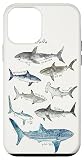Sharks Case for iPhone 12 mini