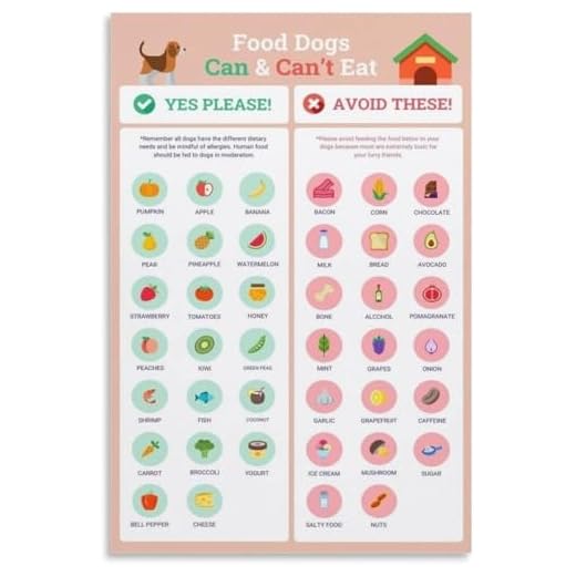 Educational Dog Food Safety Chart Poster