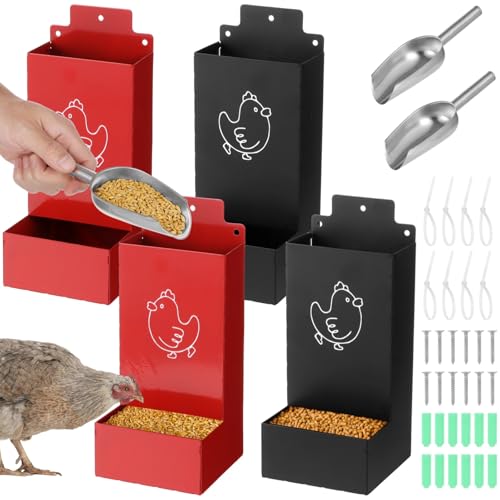 4 Pcs Chicken Grit & Oyster Shell Feeders with Scoops
