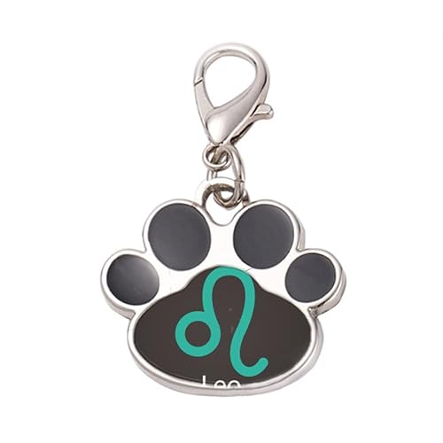 DIYthinker?July August Leo Constellation Pattern Pet Tag Keychain Dog Cat ID