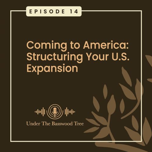 Coming to America: Structuring Your U.S. Expansion cover art