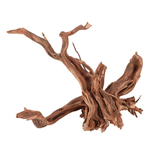 Qingsi 1 pièce de bois flotté pour aquarium, tronc, arbre, décoration d'aquarium, branches de bois flotté, reptiles, souches de plantes ornementales