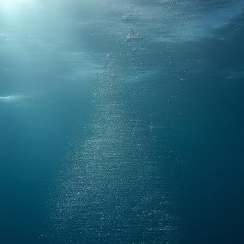 All Saints & Tourist