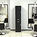 Paddie Wall Mount Barber Stations, Salon Stations for Hair Stylist, Hair Station Salon Furniture Sets with a Storage Cabinet, 2 Drawers and a 2 Tier Shelf, 17.3