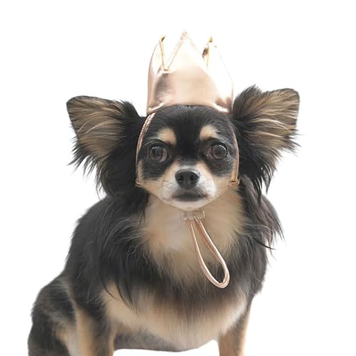 Calulu J o[Xf[ Ajo[T[ p[eB[ ObY NE uE |  L p Lp ybg a LO  Cxg ybgp  p[eB[