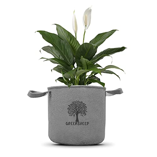 Image of GREENSHEEP Geo Fabric Grow Bags for Terrace Gardening, Balcony, Vegetables, Plants, Fruits and Flower with Handles - Breathable and Reusable Plant Bags for Indoor (Grey) (Pack of 3) (Size-12x12)