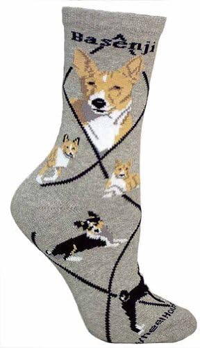 Basenji Animal Socks On Gray 9-11