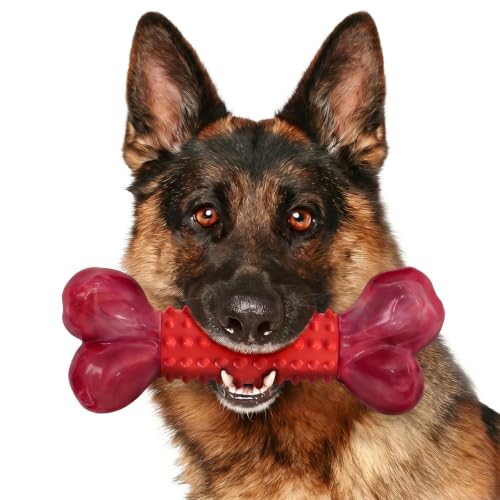 ChienBox Juguetes para Perros Indestructible, Mordedor Perro para Masticadores Agresivos, Juguete Perro para Perros Medianos y Grandes, Nailon Duradero y Caucho Natural, Sabor A Carne de Res, Rojo