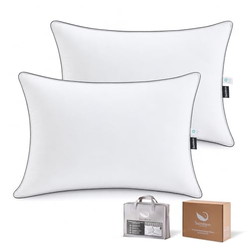 Swandream Goose Feather and Down Bed Pillows Standard Size Set of 2, Luxury 3-Chamber Pillows with Soft & Down-Proof Cover, Fluffy Plush Hotel Pillows for Side, Back & Stomach Sleepers - image 1