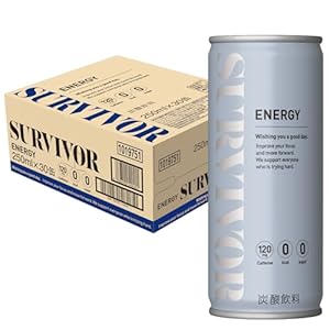 【ゼロカロリー】サバイバー エナジードリンク ゼロ 缶 250ml×30本 2,433円（81.1円/本）送料無料！