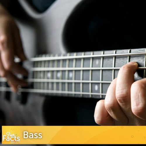 Fun Facts About the Bass