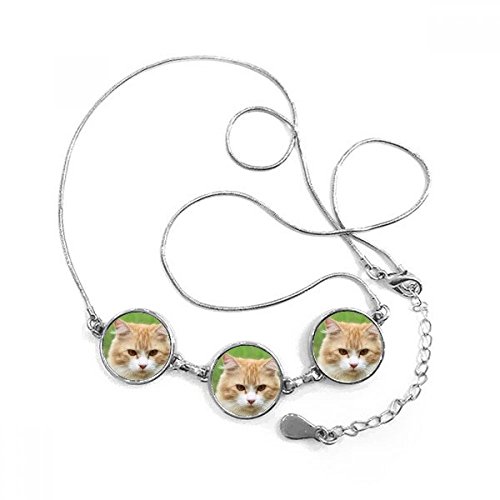 Collier pendentif chat pour animal finis les accessoires ternes et fragiles