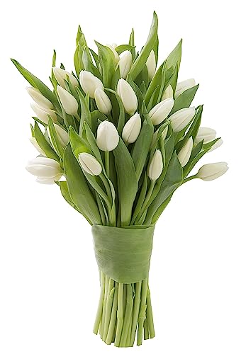 Image of KaBloom-30 White Tulip Bouquet,Flowers for Valentine, Mother's Day