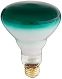Bulbrite Incandescent BR30 Medium Screw Base (E26) Light Bulb, 75 Watt, Green