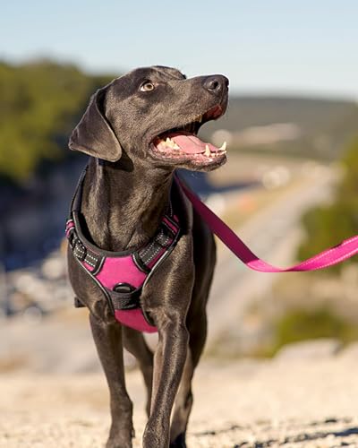 Joytale Hundegeschirr mittelgroße Hunde, reflektierendes Geschirr Hund,luftdurchlässige Hundegeschirr, verstellbares Brustgeschirr mit Griff beim Führen und Training, Rosa, M