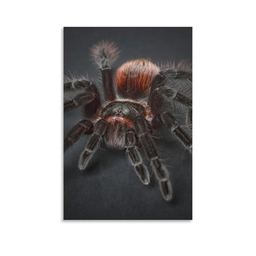 GENERIC ���� �N�� �^�����`���� �A���N�m�t�H�r�A ���� �}�N���|�X�^�[ 1 �L�����o�X�A�[�g�|�X�^�[�ƃE�H�[���A�[�g�摜�v�����g ���_���t�@�~���[�x�b�h���[������ �t���[���Ȃ��X�^�C�� 20x30�C���`(50x75cm)