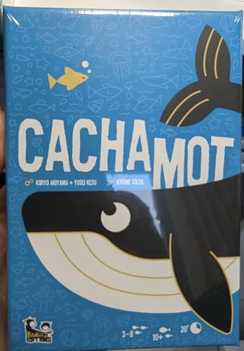 Cachamot Blackrock - vue 10