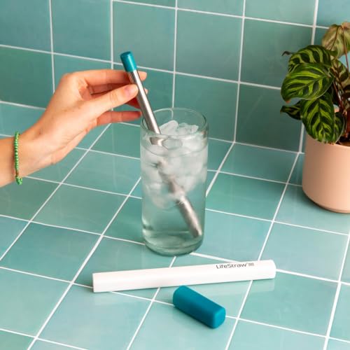 Image of LifeStraw Sip - Reusable Stainless Steel Water Filter Drinking Straw