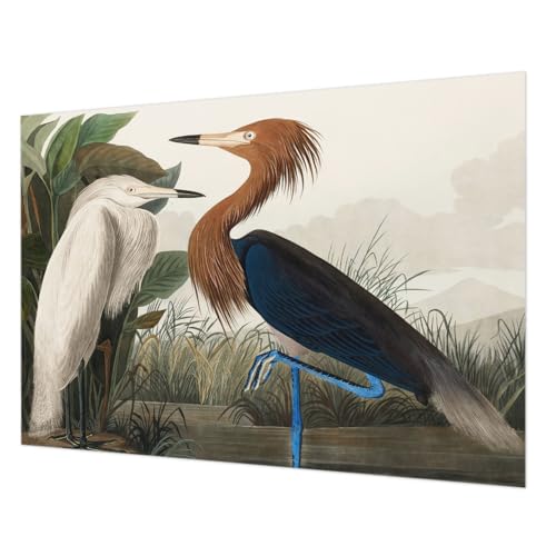 Papier Peint Intissé avec Impression de Haute Qualité Tulup 312x219 cm - 2