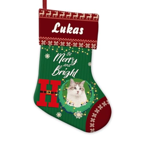 GABSHAIM Ho with Ragdoll Cat Christmas Stockings Custom Be Merry and Bright Stockings Lights String Reindeer Snowflake Decor 14.4