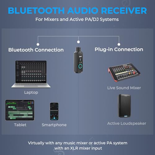 SINWE P16 Wireless Bluetooth 5.3 XLR Receiver - 24bit/48kHz 160ft Range & 15H Battery,Bluetooth Adapter for Speakers, Audio Mixer, PA Systems, DJ Systems (USB-C Rechargeable)