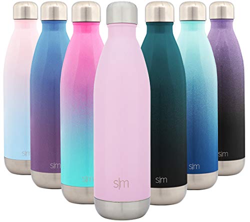 Simple Modern Stainless Steel Vacuum Insulated Double-Walled Wave Bottle, 25oz - Blush (Wave Water Bottle)