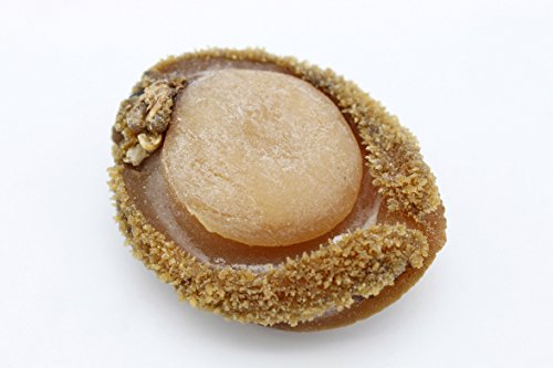 Generic Dried South-Africa Abalone Bao Yu Dried Sea Snail Awabi Haliotis 0.5 Pound 8Oz 227 Grams 南非鮑魚 Free Worldwide Airmail thumb #3
