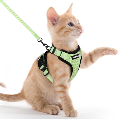 Image of rabbitgoo Cat Harness and Leash Set, Escape Proof Vest, Light Green