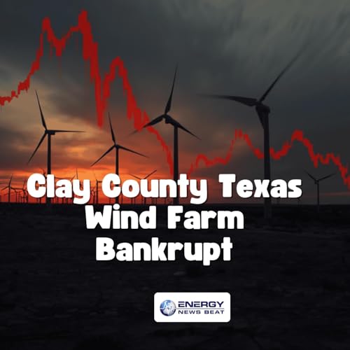 Wind Farm in Texas Declares Bankruptcy Exposing the 89 Billion dollar liabilty in US